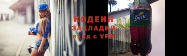 дживик Билибино