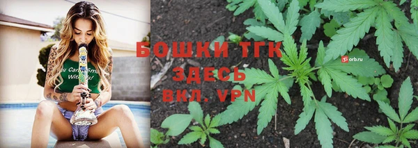 PSILOCYBIN Болхов